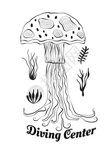 水母潜水中心图片
