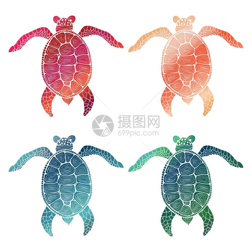 手绘彩色海龟图片