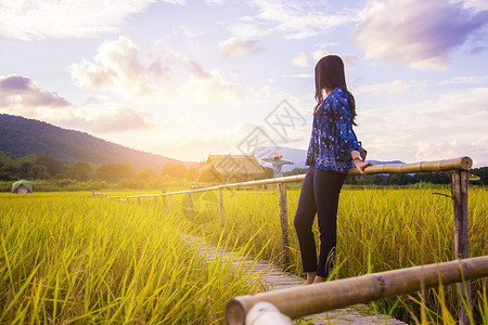 欣赏黄色稻田风景的女旅行者图片
