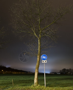 黑暗中自行车路和树的呼图片