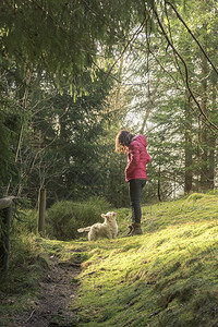 年轻女人带着宠物在小树林里背景图片