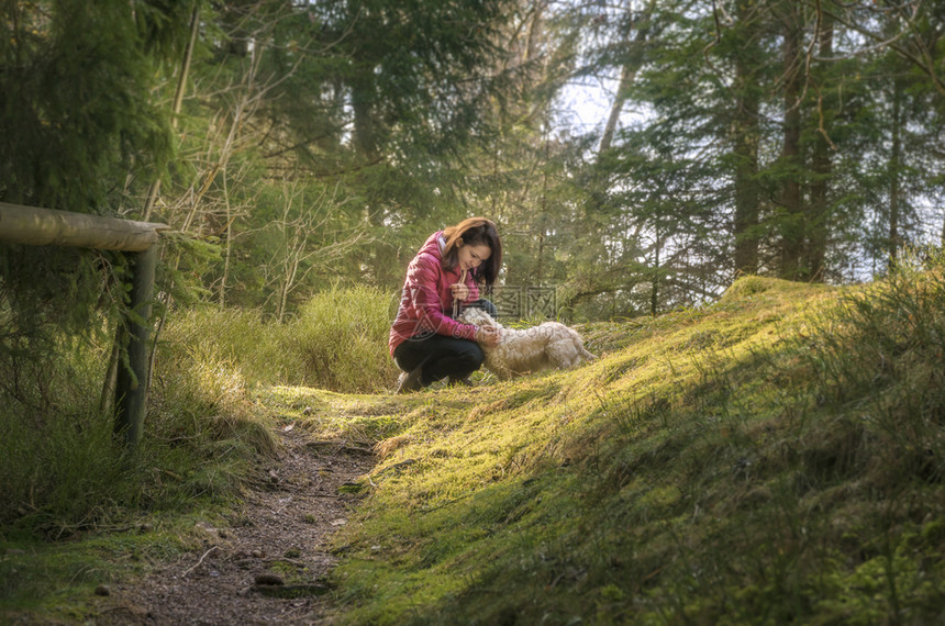 年轻女人带着宠物在小树林里图片