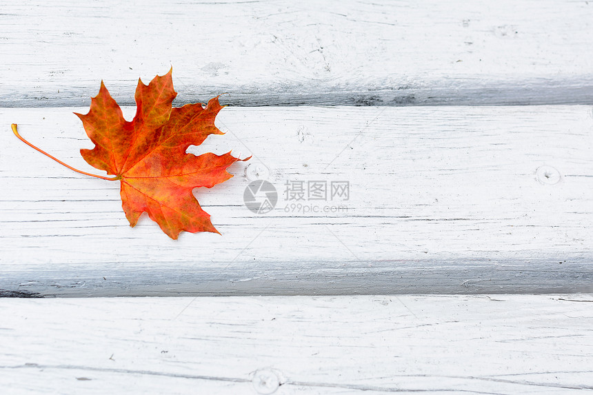 白木背景的秋叶背景的图片
