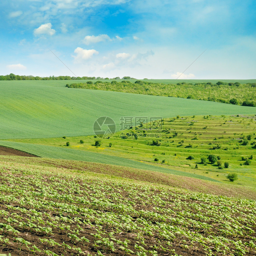 山地和蓝天空绿和蓝天空农业地貌图片