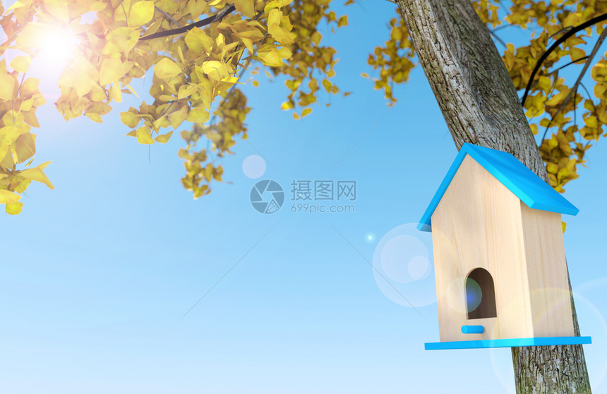 秋树下的木鸟屋蓝天空背景复制间3D图片