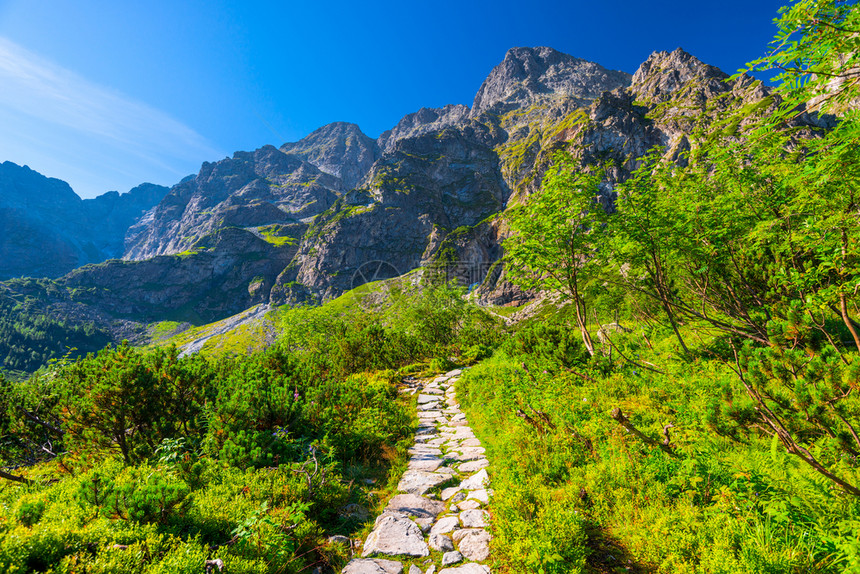 塔特拉山上Moriskeo湖周围的旅游路线图片