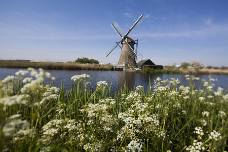 风车荷兰金德代克肯德代克的荷兰风车图片