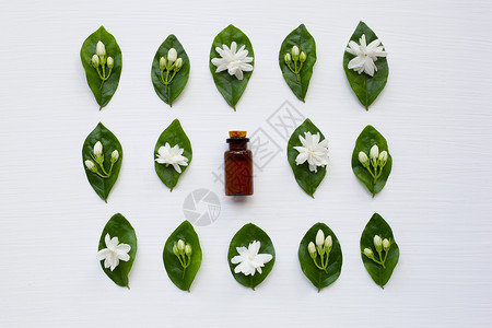 药明康德一瓶含茉莉花和叶子的基本油一瓶含茉莉花和白色的叶子基本油背景