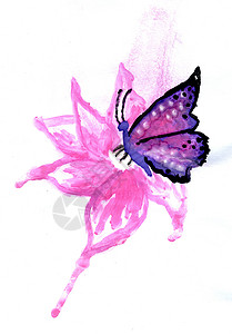 水彩蝴蝶紫色粉和黑的抽象画蝴蝶图片