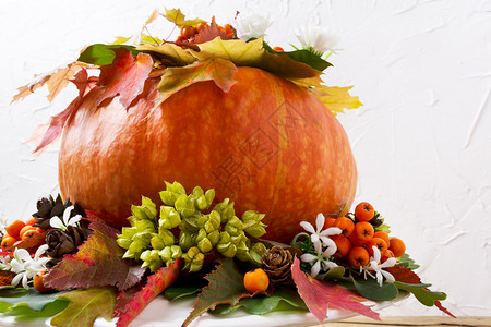 秋天装饰南瓜和白花秋天装饰南瓜彩色的叶子白花和甜筒感恩的问候背景图片
