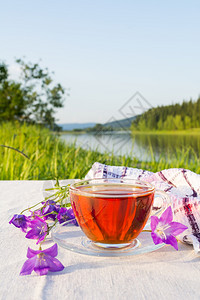 夏茶时间概念与蓝铃花茶杯和蓝铃花在户外供应夏茶时间概念背景图片