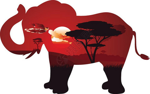 非洲日落大象剪影插画图片
