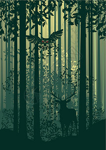 森林景观树光影和绿雾中鹿图片