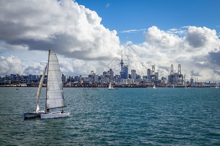 奥克兰帆船新西兰背景