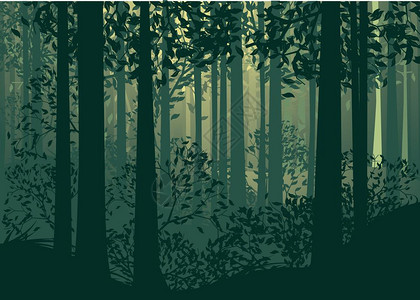 森林景观树影和绿雾中的草木背景图片