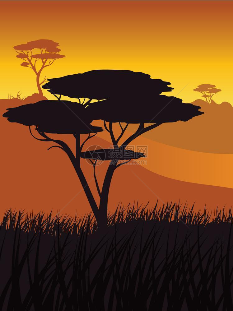 非洲日落风景多彩的日落象非洲风和树木的轮廓图片