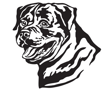 狗的装饰肖像白背景上的黑色矢量孤立图解设计和纹身象狗的装饰肖像图片
