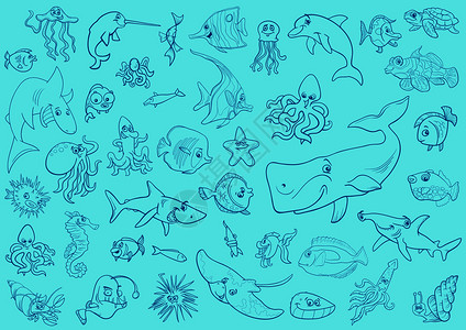 鲸鱼与海马海洋生物和鱼类矢量插画插画