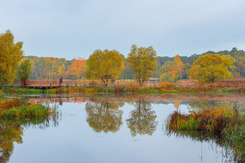 秋天美丽的小池塘反射着美丽的公园图片