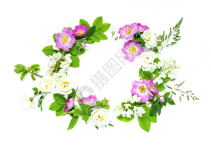 由粉红色野玫瑰和白蝗虫花组成的古老风格装饰成分这些花有白色背景上隔绝的绿叶背景图片