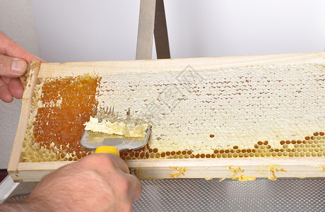 醮取蜂蜜工具清除塑料浴缸的蜂窝背景