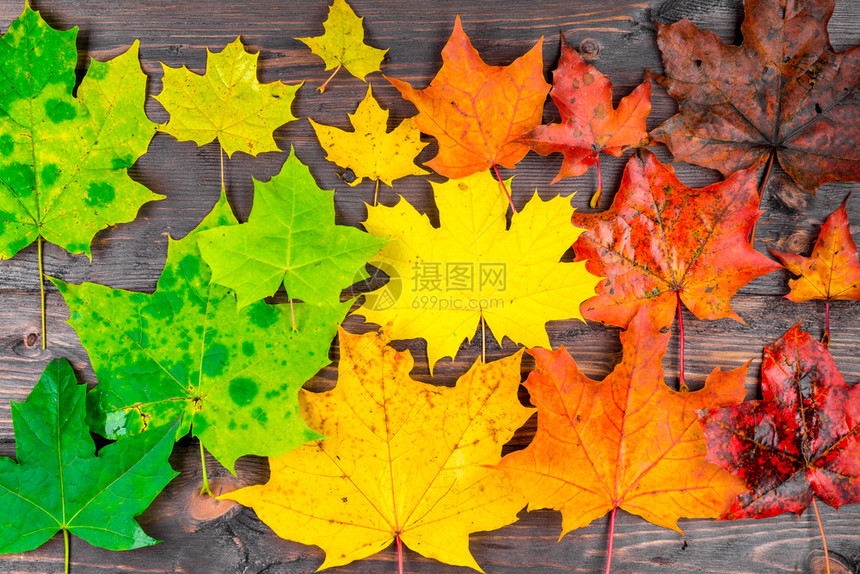 含有美丽的秋叶木制桌颜色与上方不同图片