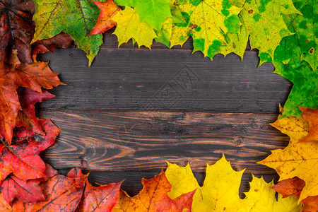 长图金色调带秋色美丽的叶框中间有空刻入的背景背景