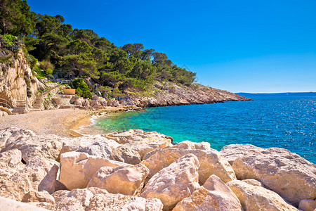 阳光明媚的白昼风景马卡斯松绿海滨croati的dlmti地区图片