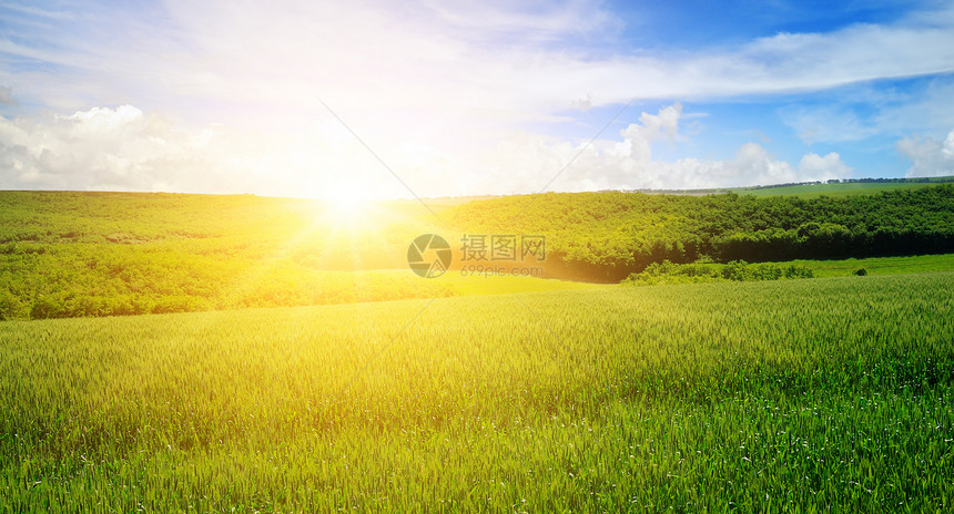 绿色的田野和蓝天空有光云地平线上是明亮的日出农业景观图片