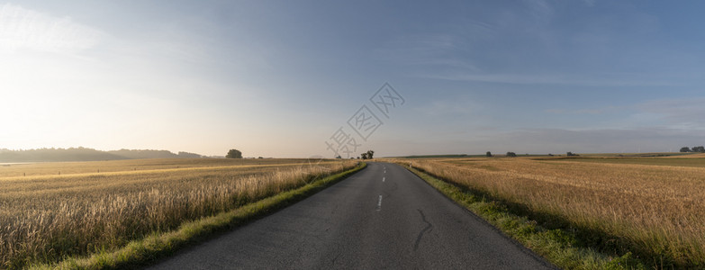 环绕在谷物周围的道路图片