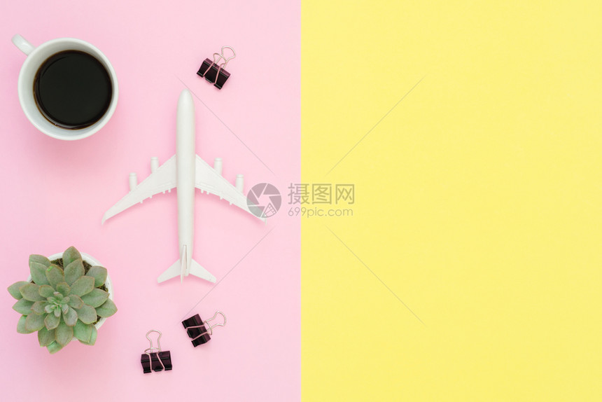 粉色背景图上的飞机模型和植物图片