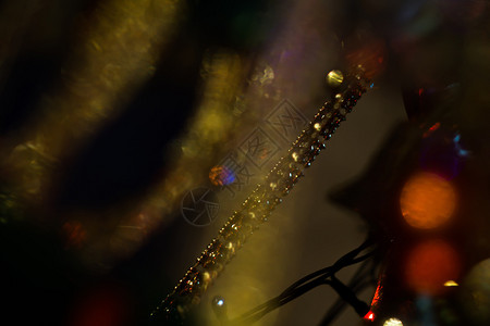 假日灯光和圣诞节树装饰背景图片