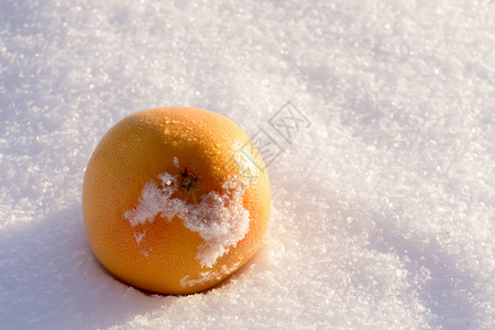 新鲜白雪背景的美味橙子水果图片