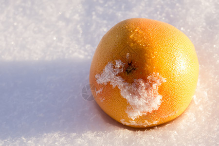 新鲜白雪背景的美味橙子水果图片