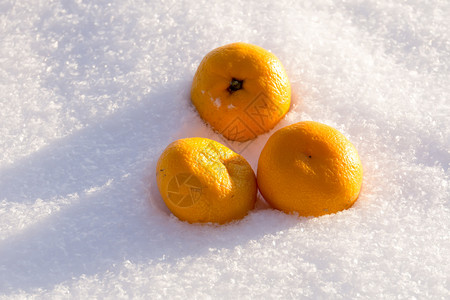 新鲜白雪背景的美味橙子水果图片