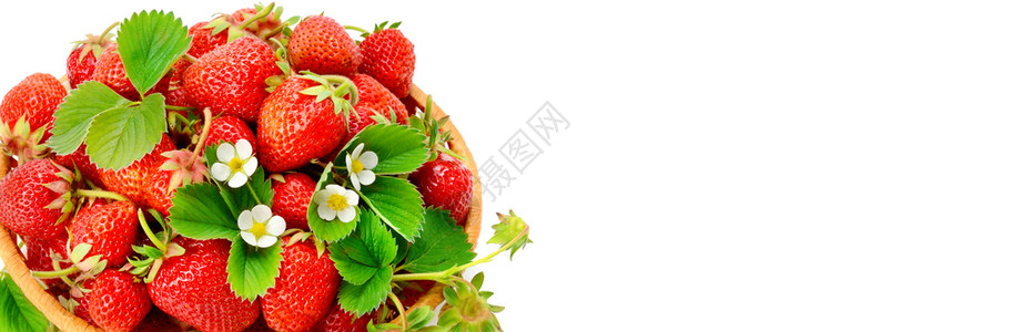 白背景的维基篮子里草莓开胃菜平坦的躺下顶部视图空闲文本间宽广的照片图片