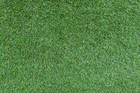 绿色草质背景图片