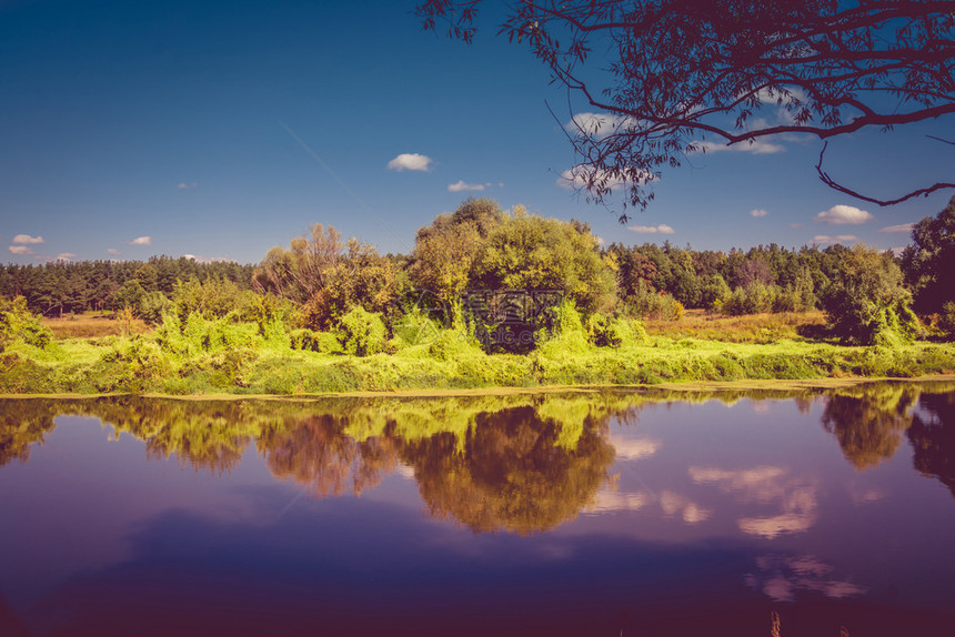 平静的河流和绿林平的风景古老效应图片