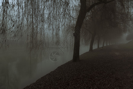 每天早晨在卢布尔雅那的风景中弥漫着浓密的雾覆盖着公园和小巷和卢布尔雅尼察河边的树木图片