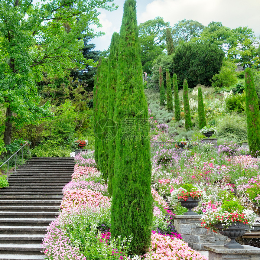 花园和其他植物楼梯和mainu岛的瀑布花棚德国图片