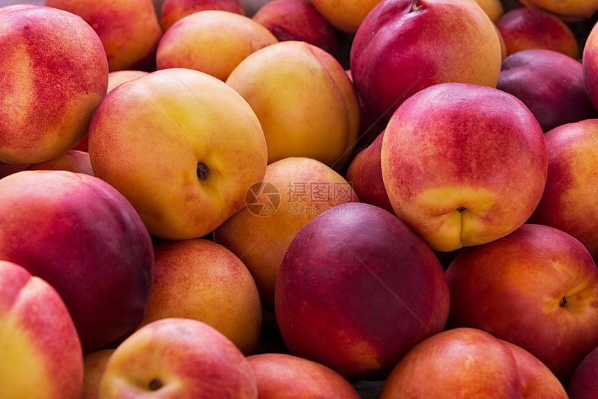 新鲜的红黄肾树背景作为丰收获的象征健康饮食概念水果成熟图片