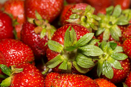 新鲜的成熟草莓背景关闭照片图片