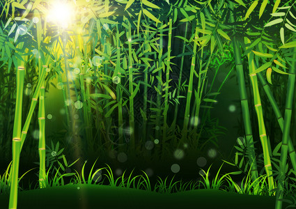 绿竹树森林景观内有叶子背景图片