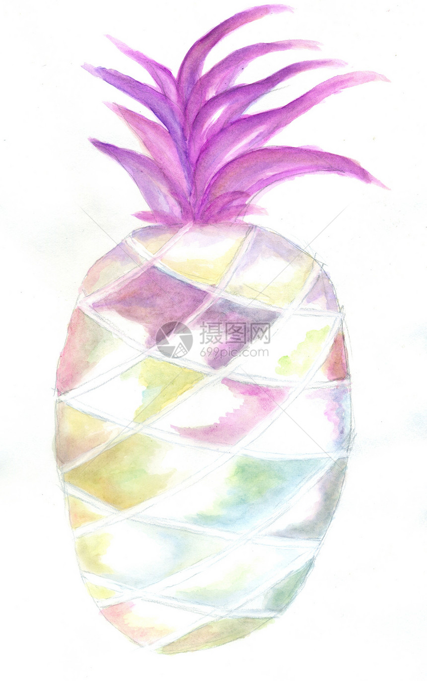 以水彩画成的圆状菠萝手画图示图片