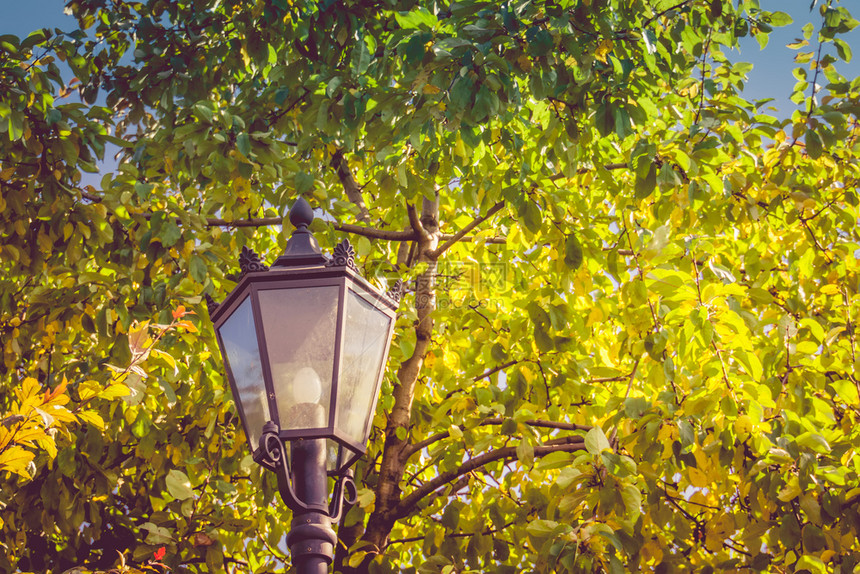 在阳光明媚的一天城市公园里有古老的街灯图片