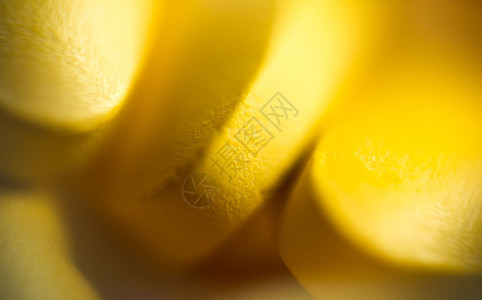 黄色药丸的宏观抽象分散焦点图片