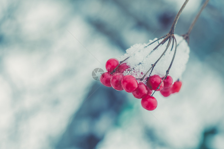 红排山灰浆新鲜雪古老的光效果图片