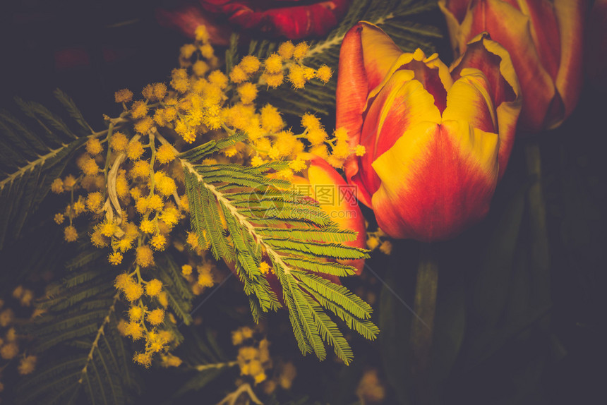 鲜红玫瑰花束丝绸上装饰的郁金香过滤背景图片