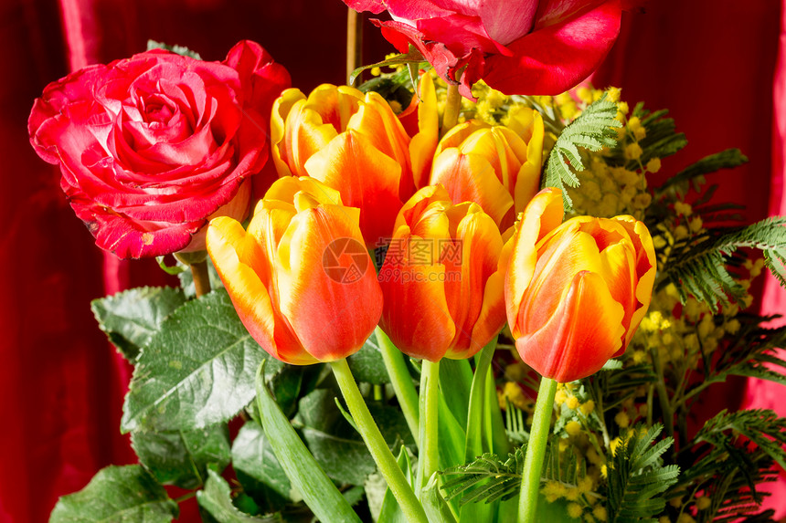 花束上盛着明亮的红玫瑰以及丝绸背景上的装饰郁金香图片