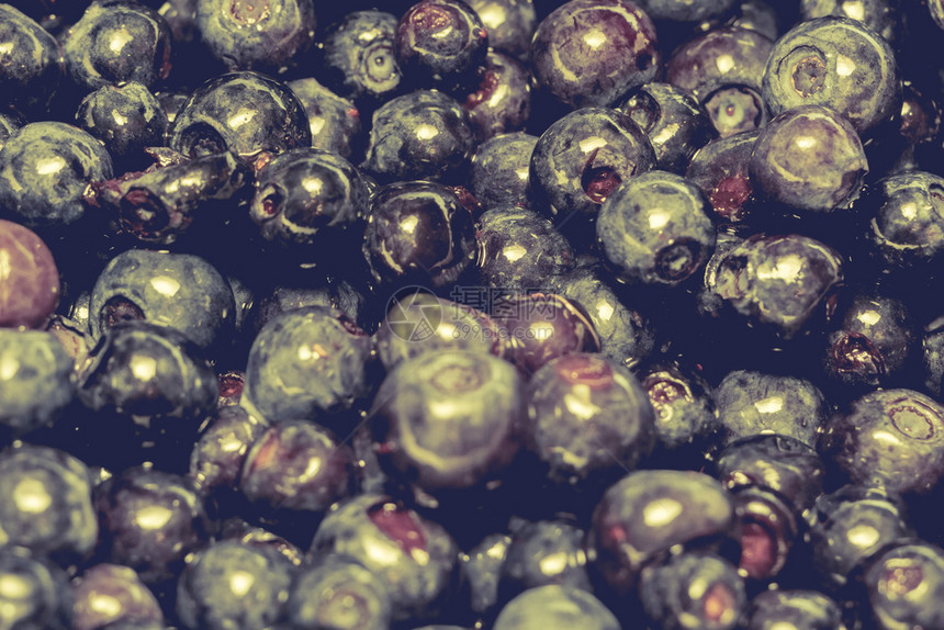 美味的新鲜蓝莓背景过滤了近身照片图片